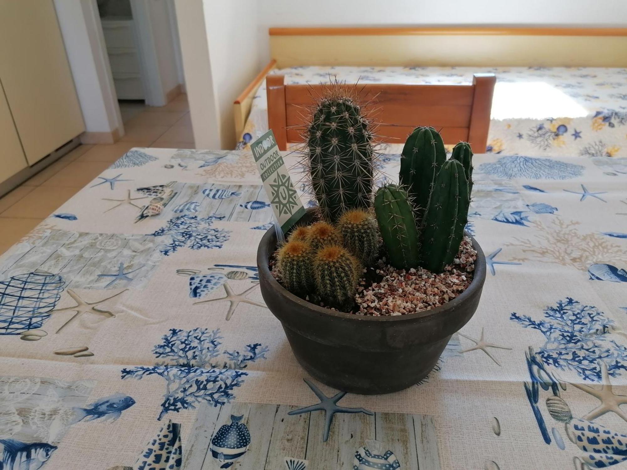 Appartement Mare Fuori Costa degli Angeli
